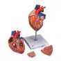 Herz, 2-fache Größe, 4-teilig G12