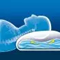 Wasserkissen Lanaform Aqua Pillow LA080405