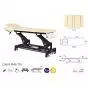Elektrische Massageliege schwarzes Gestell Ecopostural C5643