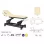 Elektrische Massageliege schwarzes Gestell Ecopostural C5683