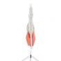 Finger-Struktur-Modell M19
