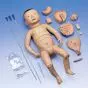 Deluxe Nurse Training  Baby mit japanischem Gesicht P40