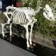 Skeleton Rinder T30012
