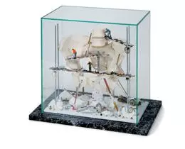 Vitrine "Becken" W23013