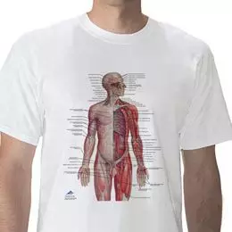 Anatomisches T-Shirt Nervensystem, L W41020