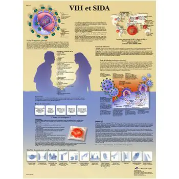 Anatomische Bord : HIV und AIDS VR2725L