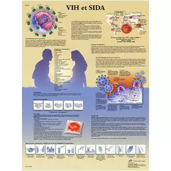 Anatomische Bord : HIV und AIDS VR2725UU