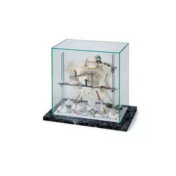 Vitrine "Becken" W23013