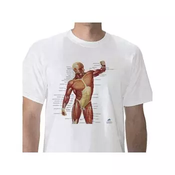 Anatomisches T-Shirt Muskulatur, L W41014