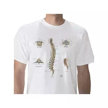 Anatomisches T-Shirt Wirbelsäule, L W41032