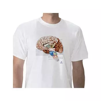 Anatomisches T-Shirt Gehirn, XL W41039