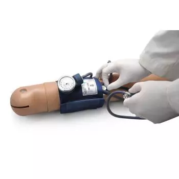Blutdruck-Arm Simulator von 3B - W45158