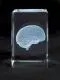 MEDart™ Glasblock Gehirn MAC15G