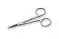 Schere, 12 cm W16164 3B Scientific