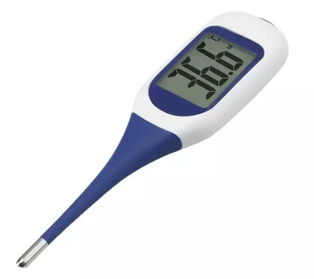 Flexibles Thermometer mit großem Display und Sprachausgabe