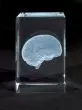 MEDart™ Glasblock Gehirn MAC15G