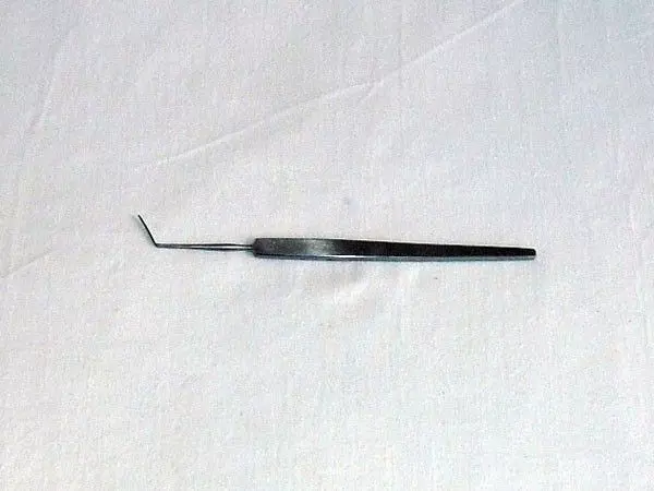 Elschnig Iris Spachtel , 10 mm Holtex