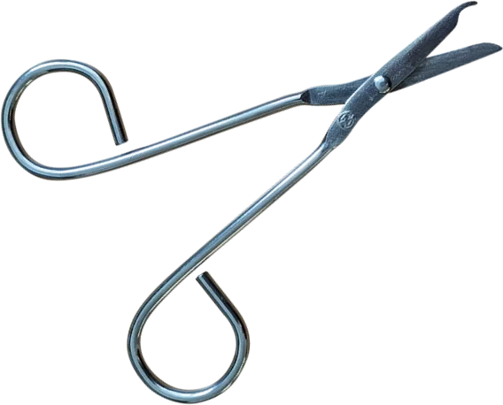 Sterile Fadenscheren von Euromedis (Packung mit 100 Stück)