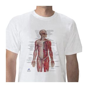 Anatomisches T-Shirt Nervensystem, L W41020