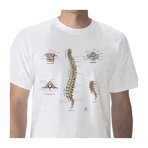 Anatomisches T-Shirt Wirbelsäule, XL W41031
