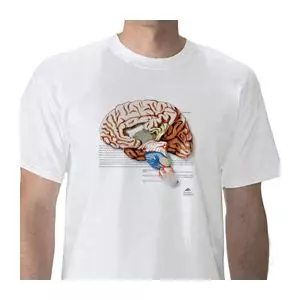 Anatomisches T-Shirt Gehirn, XL W41039