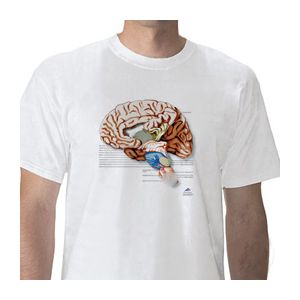 Anatomisches T-Shirt Gehirn, L W41040
