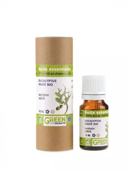 Ätherische Öle von Eukalyptus Organic Green For Health