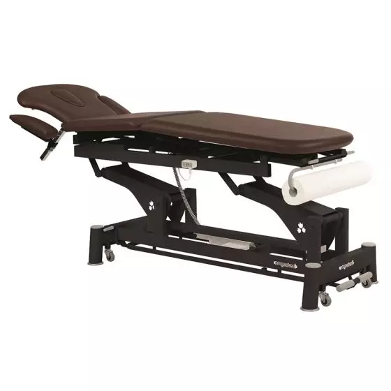 Elektrische Multifunktions-Massageliege Ecopostural C5630