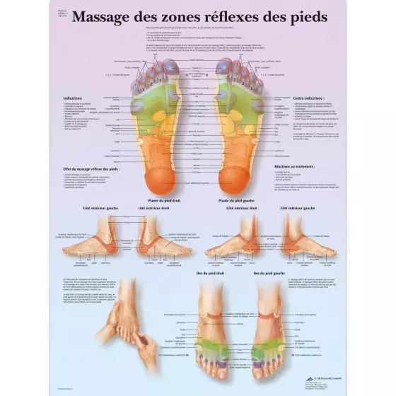 Lehrtafel - Fußreflexzonenmassage VR2810L