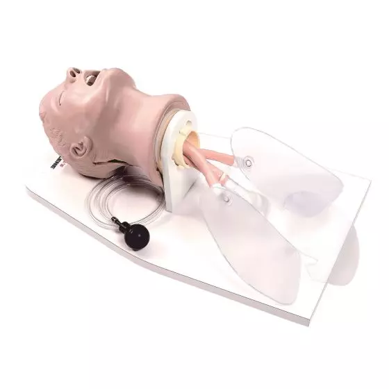 Intubations-Kopf W44104