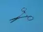 Kocher Klemme, gerade, A / G, 13 cm Holtex